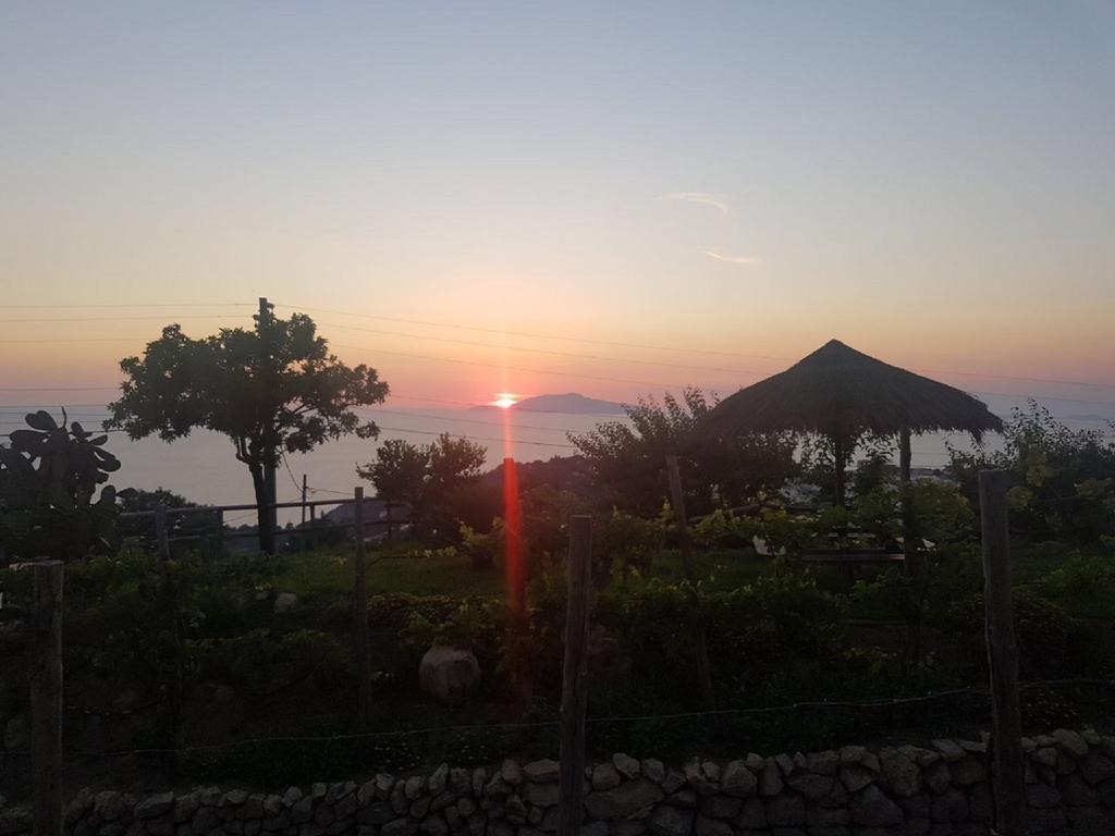 Agriturismo Del Sole Anacapri  Eksteriør billede