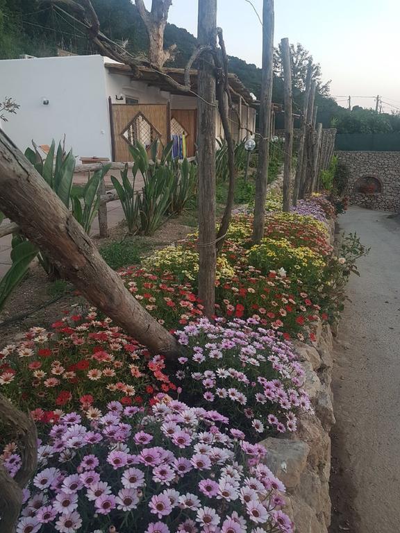 Agriturismo Del Sole Anacapri  Eksteriør billede