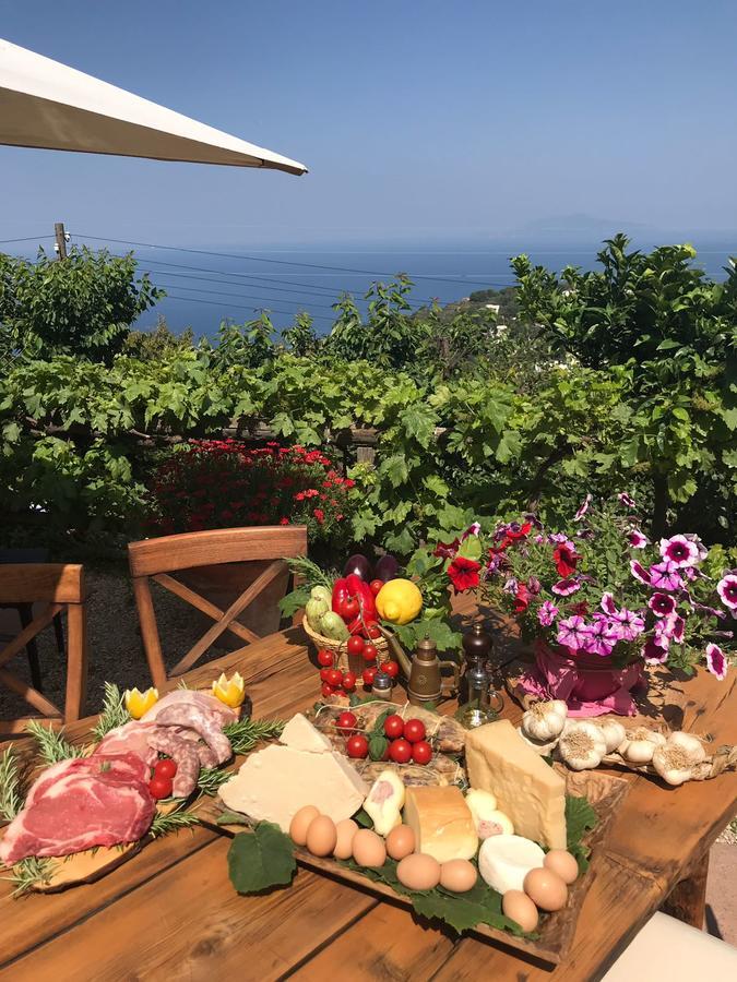 Agriturismo Del Sole Anacapri  Eksteriør billede