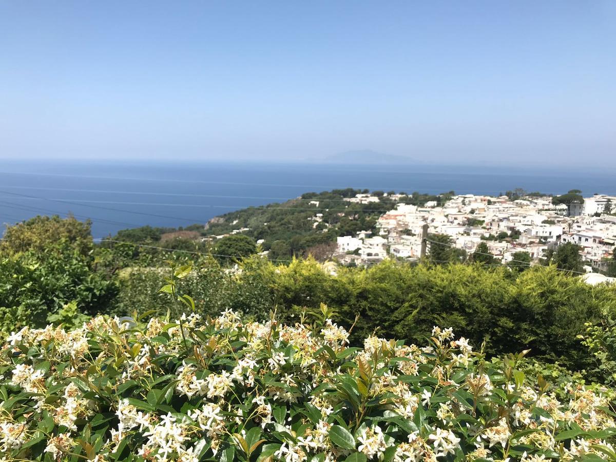 Agriturismo Del Sole Anacapri  Eksteriør billede